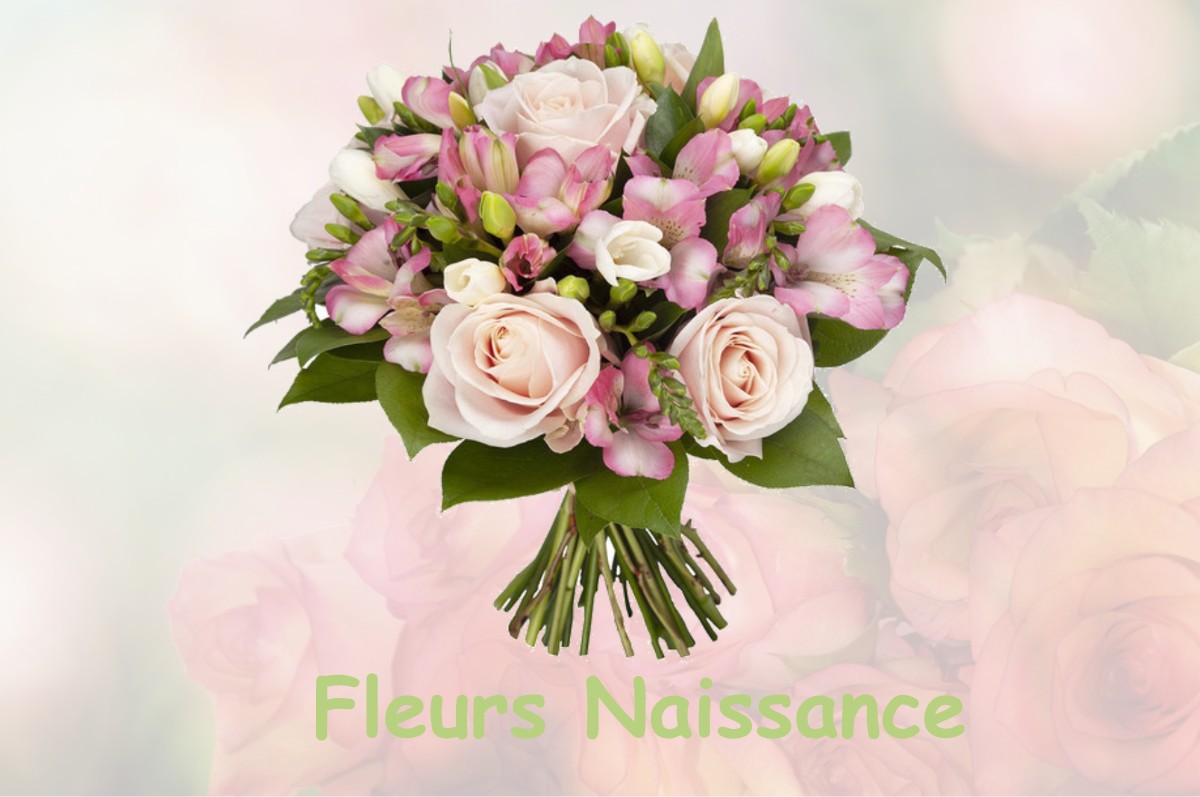 fleurs naissance BOUYON