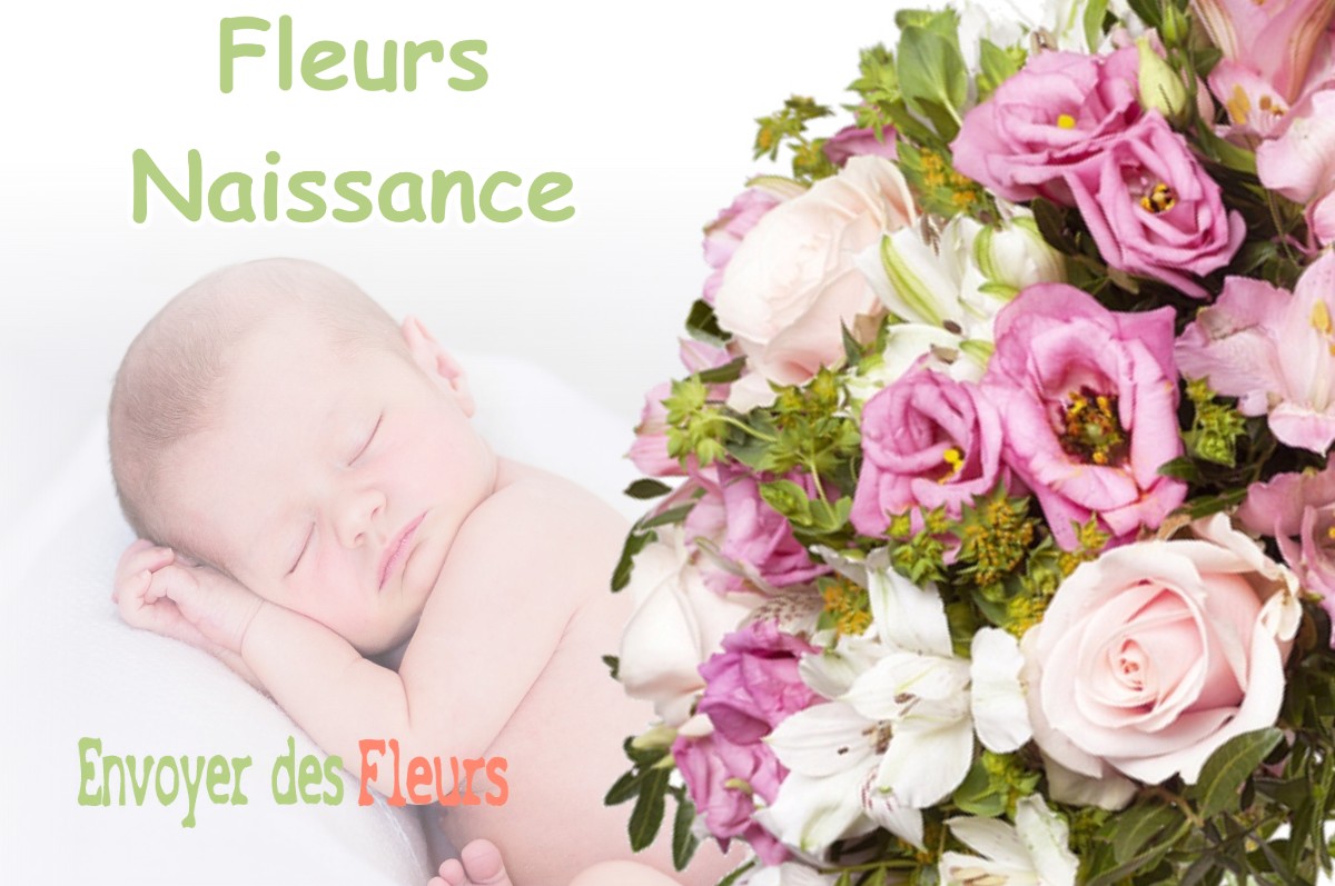 lIVRAISON FLEURS NAISSANCE à BOUYON